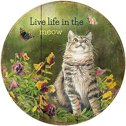 Live Life in The Meow 12