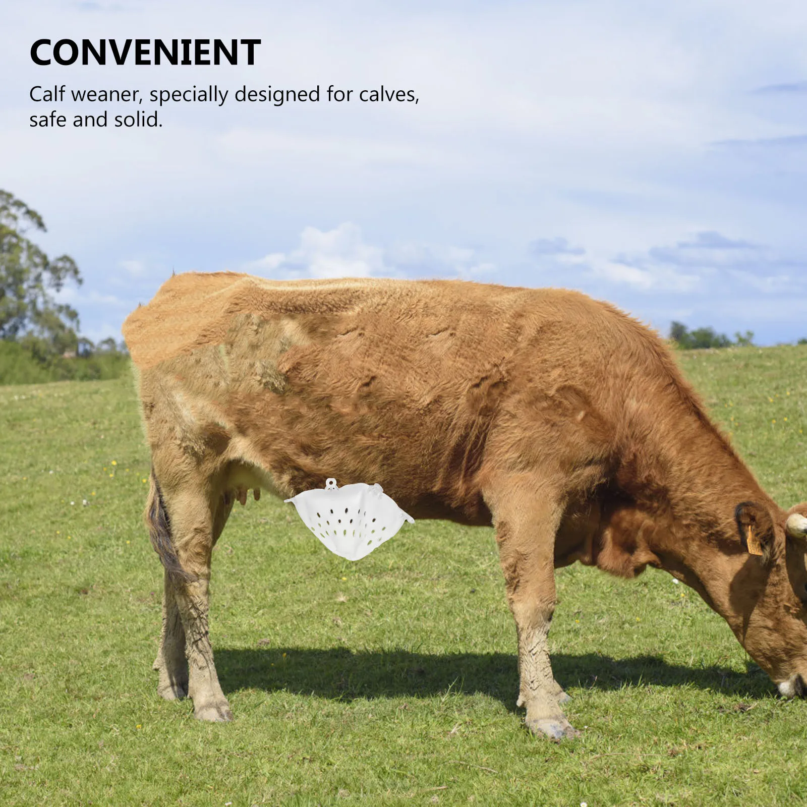 

Calf Weaning Device Cow Cover Adjustable Durable Plastic Calf Weaner Humane Cattle Cow Weaning Tool Farm Supplies