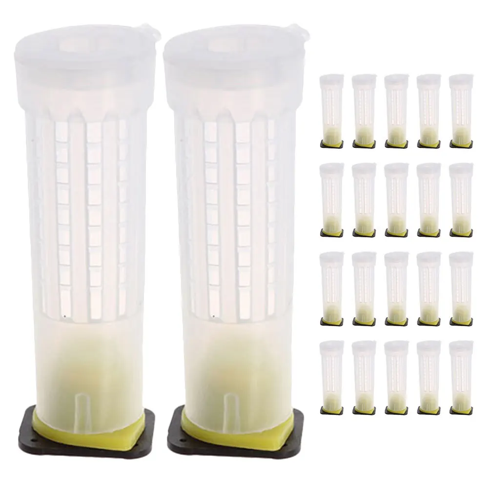 

24 Pcs Anti- Cover Bee Cell Cups Incubation Bases Keeping Plastic