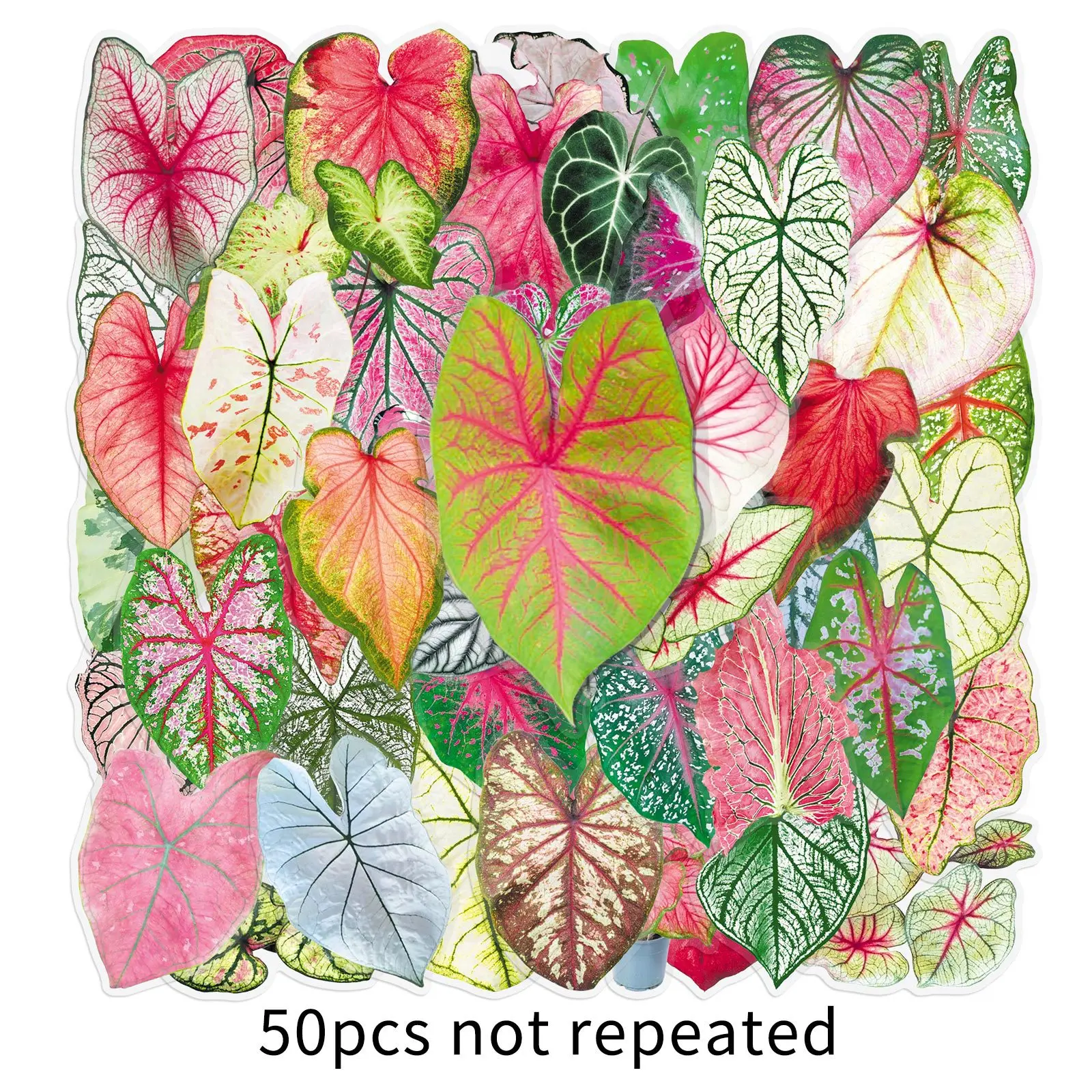 

50/100 Pcs HD Colorful Leaf Clear PET Stickers Waterproof Scrapbook DIY for Phone Diary File Folder Fridge Window Decals