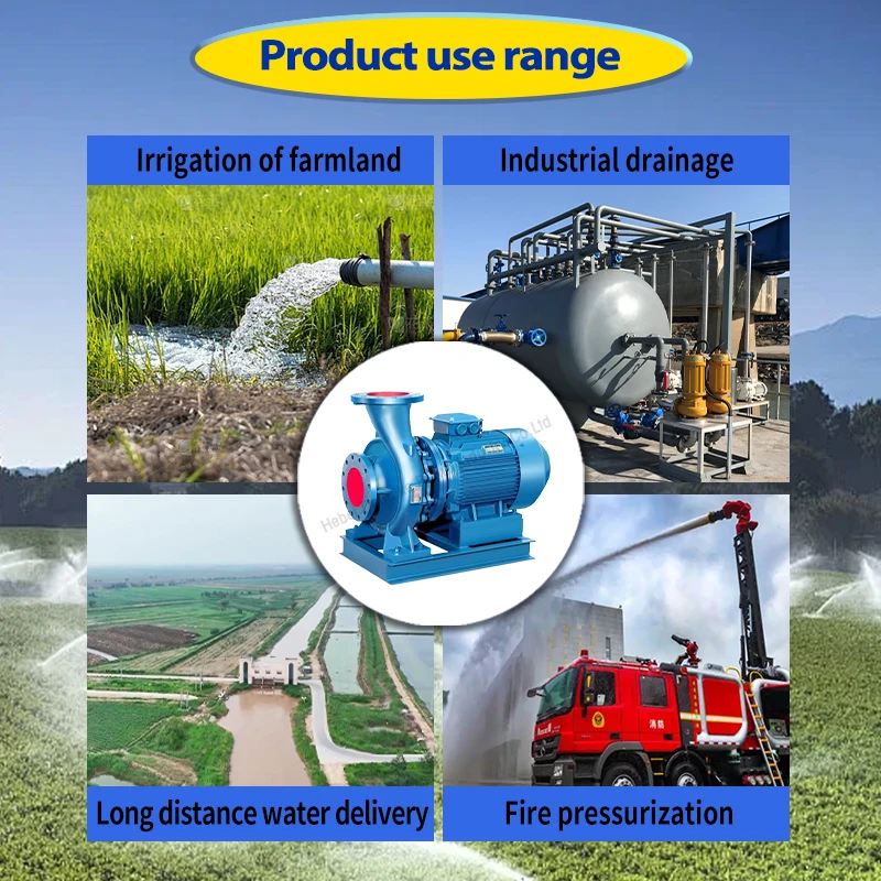 Electric Water Pump Motor Agricultural Water High Pressure End Suction Big Electric Pump for Farm Irrigation