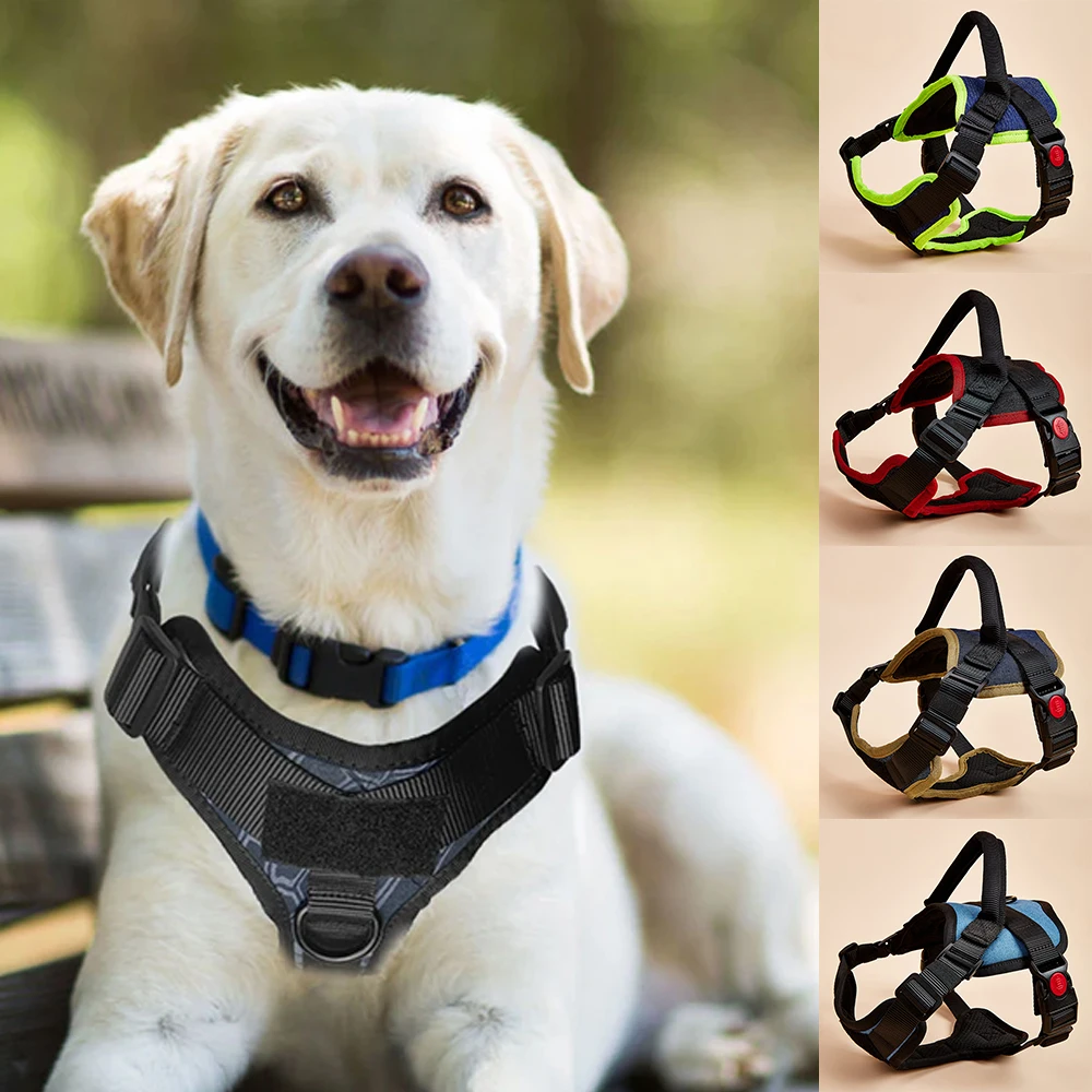 Walking Pet Dog Harness in Outdoor Training No Pull, Anti-Choke Adjustable Vest with Handle, Comfortable Breathable Denim Collar