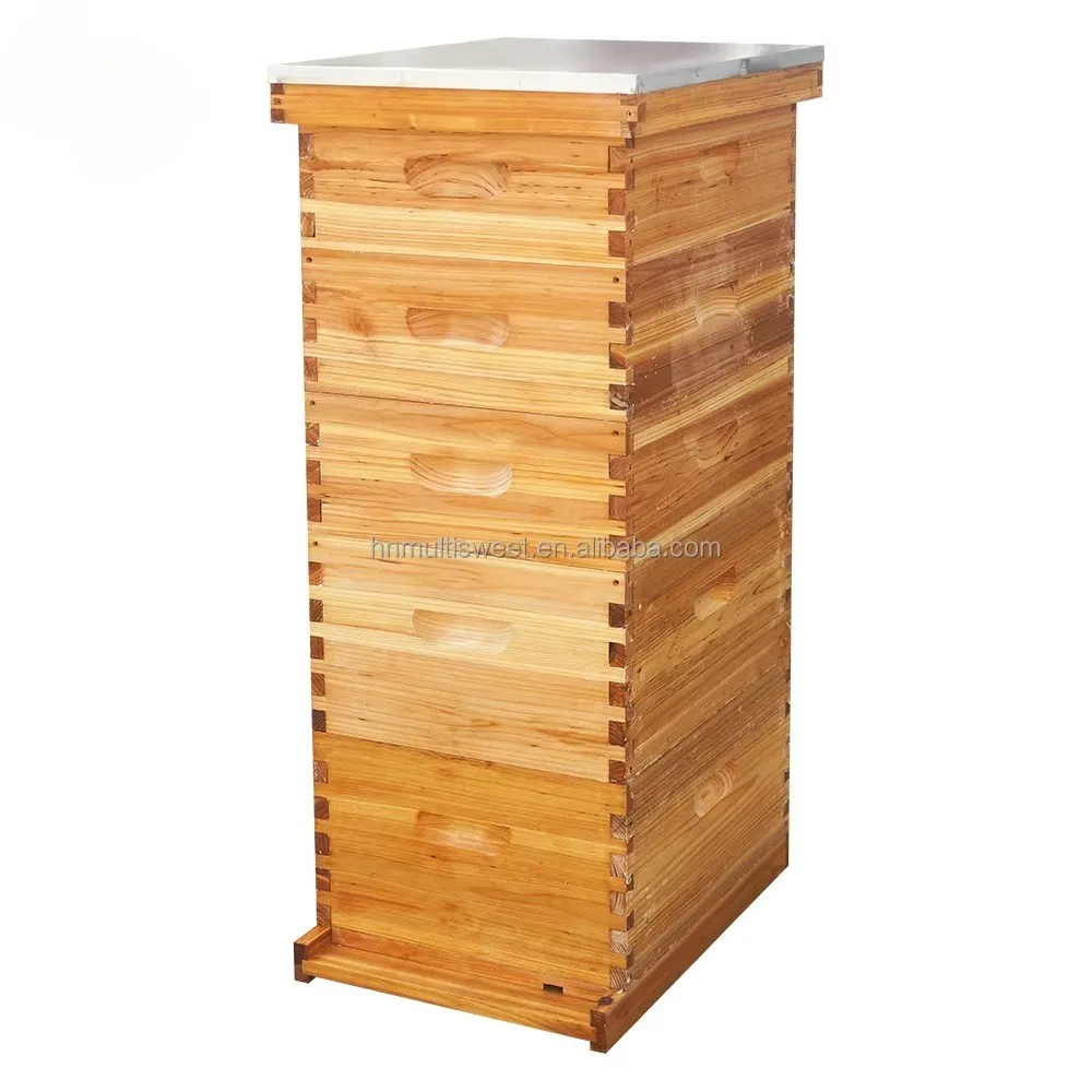 5 Tier Stackable Waxed Langstroth Beehive, 10 Frame Wooden Hive with 3 Medium & 2 Deep Boxes