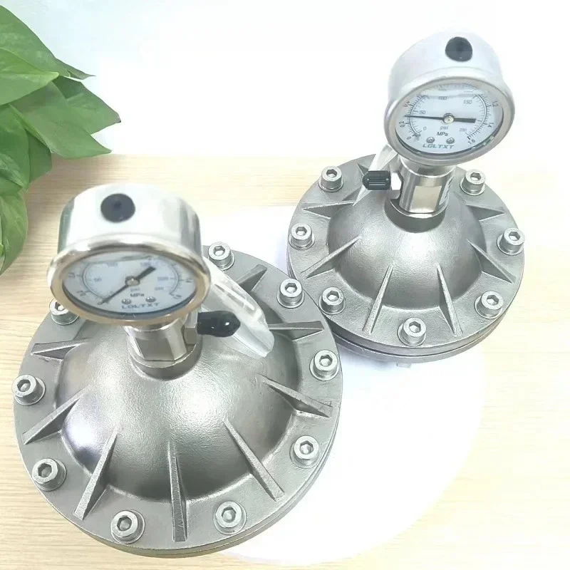 

304 Stainless Steel/PVDF Diaphragm Pulse Damper 316 Pulse Buffer DN15/20 Airbag Damper