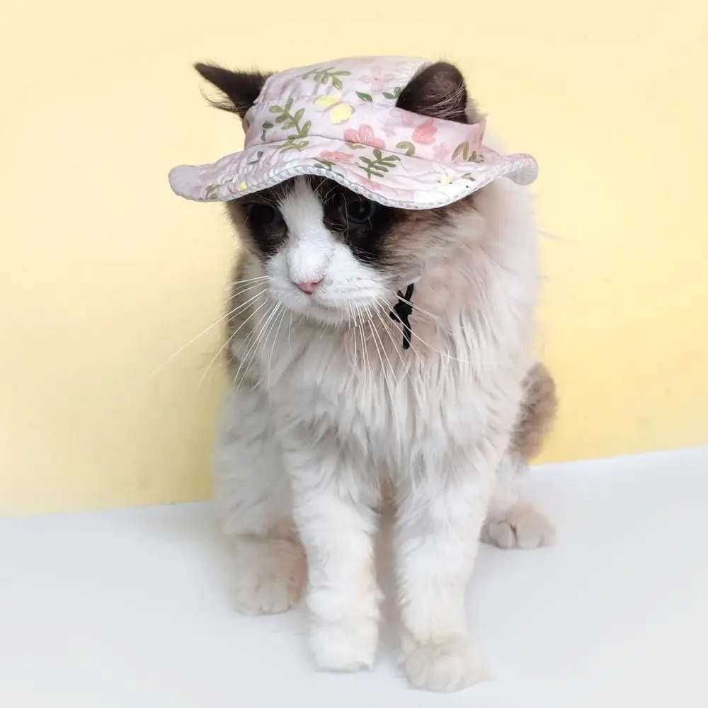 Fashion Cartoon Dog Fisherman Hat Breathable Adjustable Dog Sunshade Hats with Ear Holes Sun Protection Cat Sunscreen Hat Travel