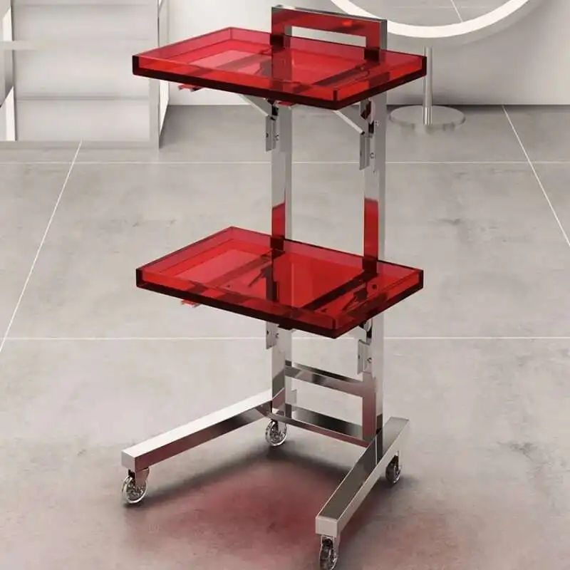 

Stainless Tattoo Salon Trolley Utility Hairdresser Medical Salon Trolley Cosmetic Carrello Portaoggetti Salon Furniture RR50ST