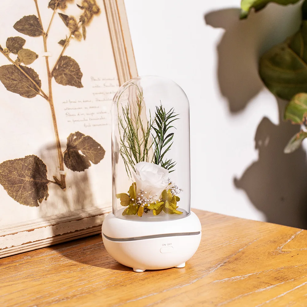 

Rechargeable Aroma Essential Oil Diffuser Nightlight Household Bedroom Transparent Rose Atmosphere Light Aromatherapy Machine