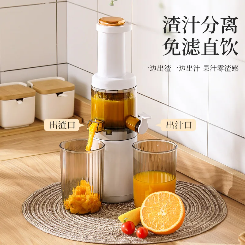 Juicer Multi-Functional Small Slow Speed Home Juice Extractor Low Speed Slow Grinding Slag Juice Separation Blender