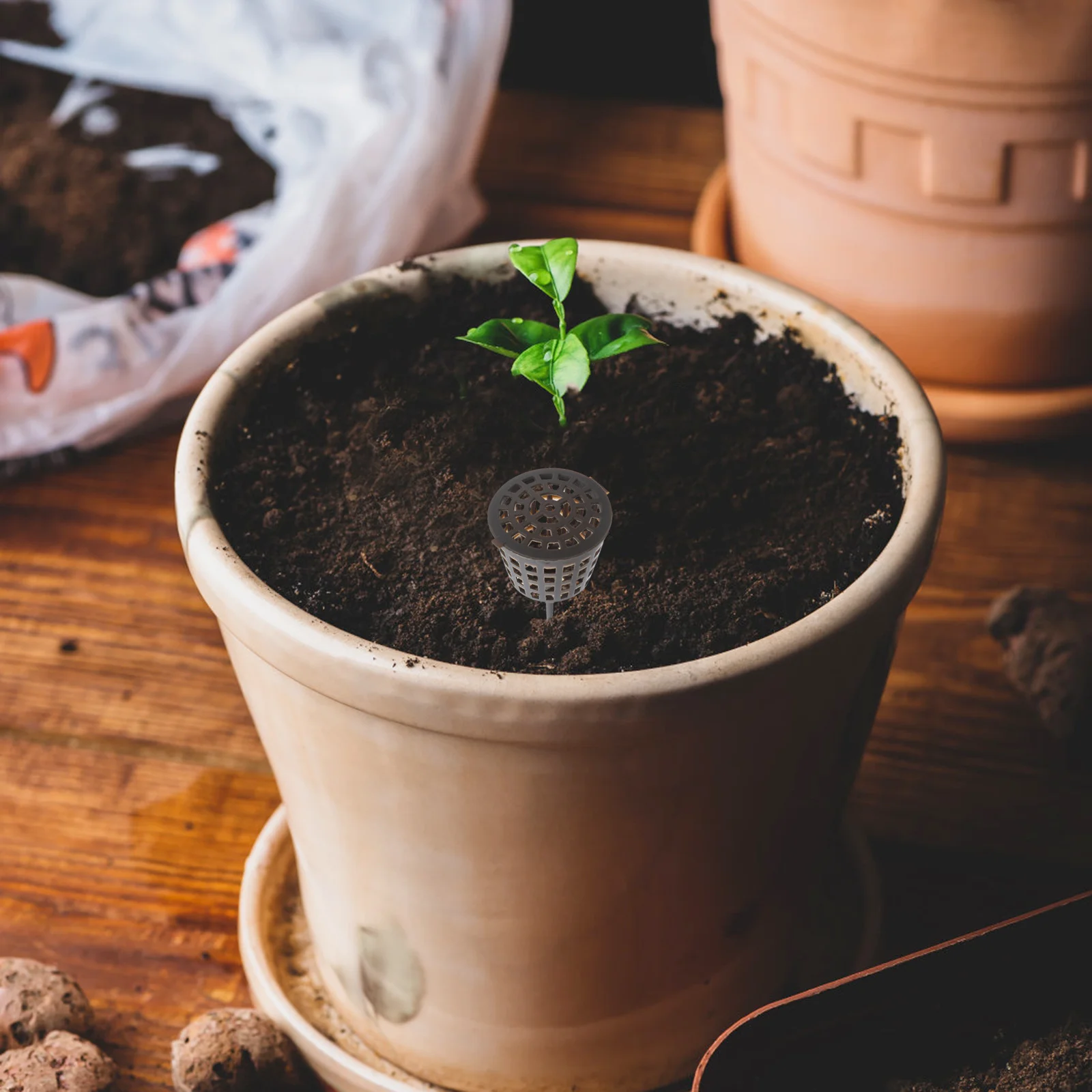 

10pcs Plastic Fertilizer Box For Bonsai Orchid Flower Succulent Reusable Fertilization Container Gardening Planting Tool Garden