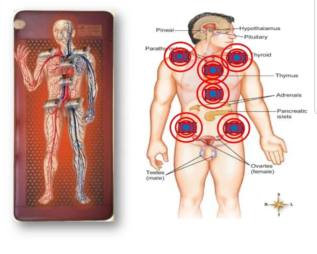 Zomerverkoop Ver Infrarood Korea Verwarming Bio Kristal Massage Mat Kleurrijke Modder Foton Therapie Pemf Mat