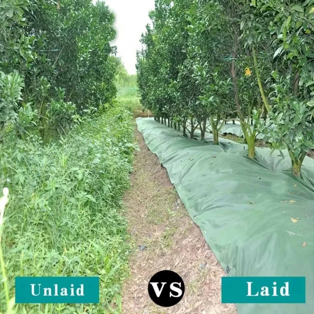Pre-punched Holes Perforated Grass Proof Cloth Double Layer Biodegradable Weed Proof Cloth Breathable Permeable UV Resistant