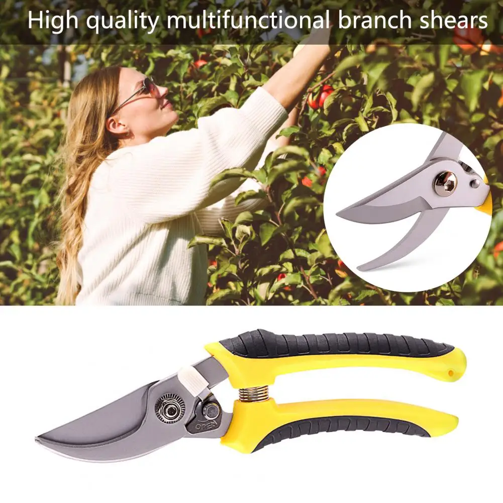 

Pruner Garden Scissors Professional Sharp Bypass Pruning Shears Tree Trimmers Secateurs Hand Clippers For Garden Beak Scissors