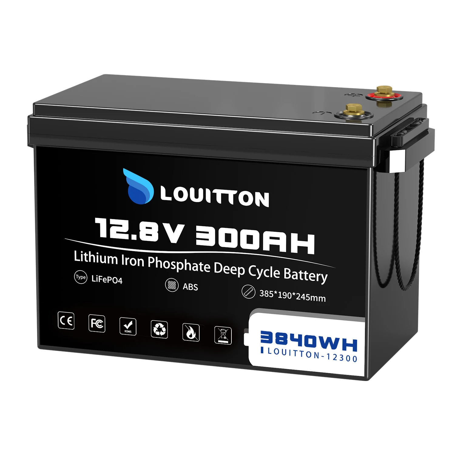 12V LiFePO4 Battery Pack 300AH Built-in BMS Lithium Iron Phosphate Cells 6000 Cycles For RV Campers Golf Cart Solar With Charger