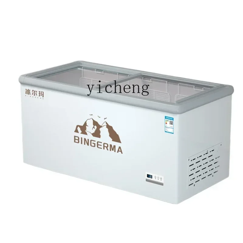 

Freezer Commercial Large Capacity Freezer Refrigerator Glass Cover Plate Horizontal Showing Cabinet