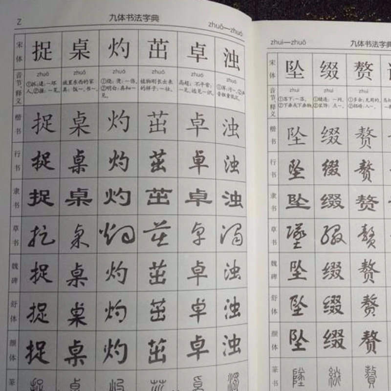 Nine Kinds Calligraphy Fonts Practical Dictionary Chinese Calligraphy Techniques Lovers Reference Book Calligraphy Copybook Book