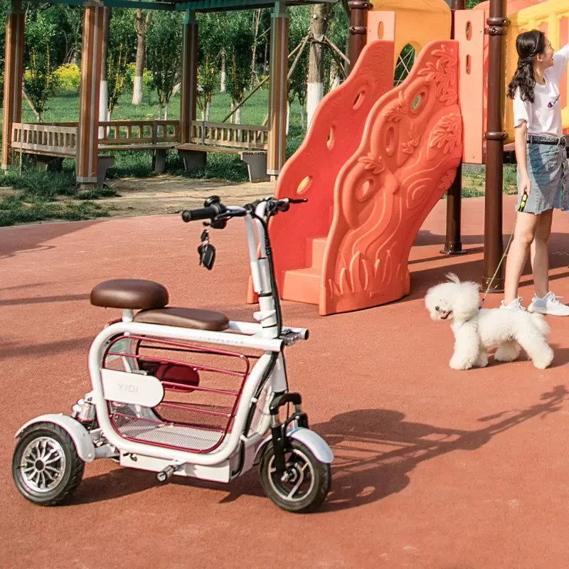 500W High Speed Pet Dog Electric Scooter Good Selling 3 Wheels Electric Mini Moped With Dog Carrier