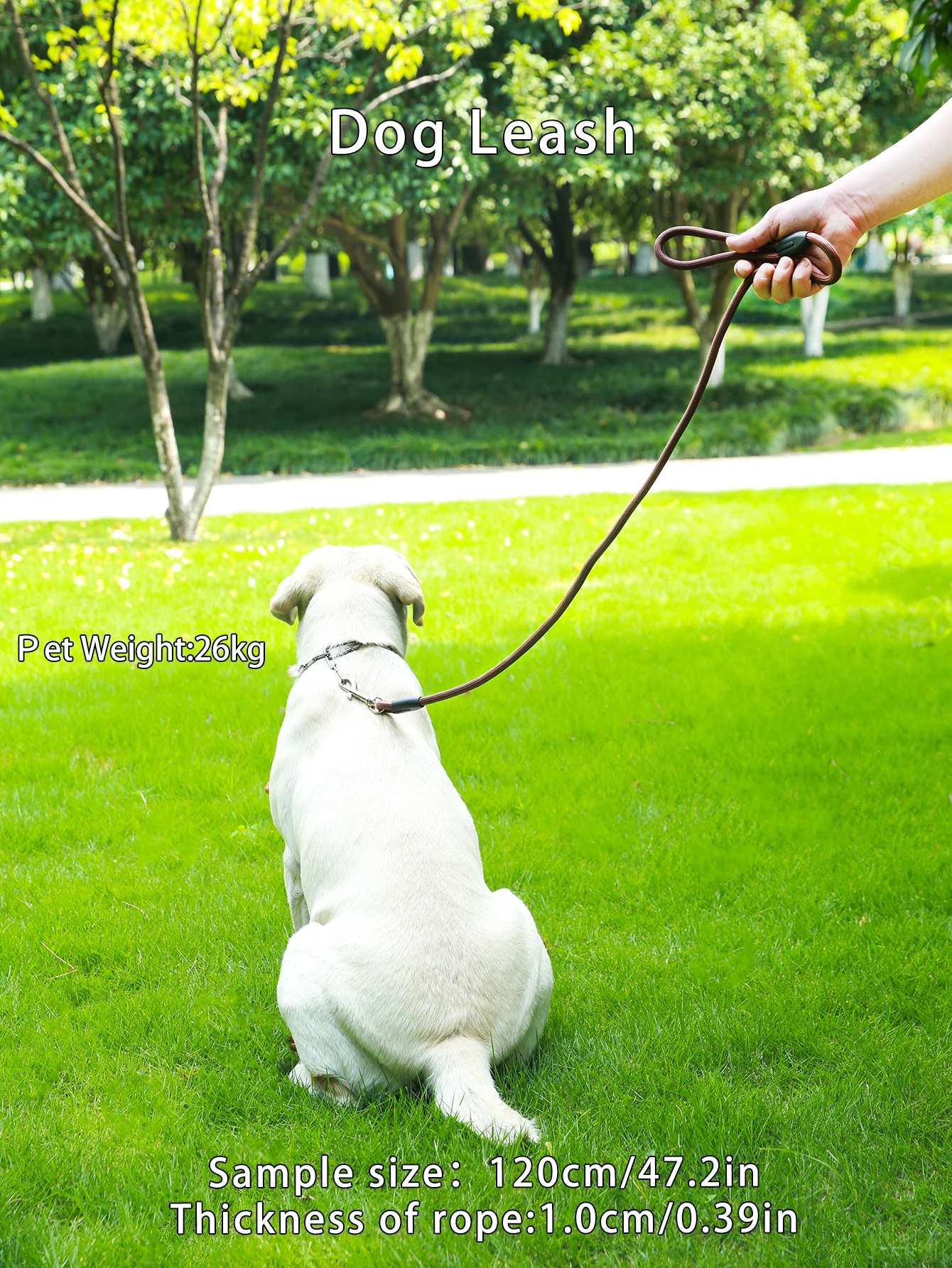 1 Pc Brown Durable Reflective Heavy Duty Dog Leash Climbing Rope Dog Leash Dog Leashes Training for Small Medium Large Dogs