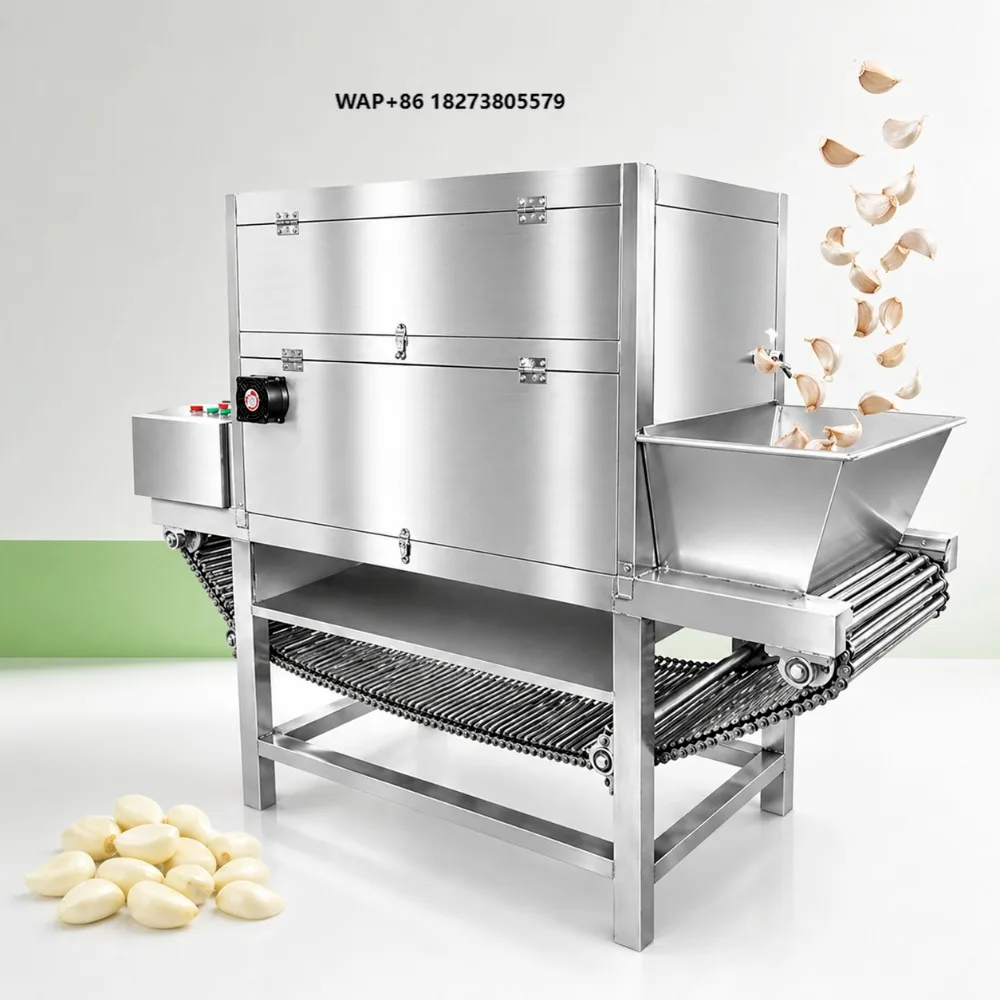 SAIDASHI Large Scale Industrial Garlic Peeler Chain Feeding Garlic Peeling Machine 1000kg/h for Food Production Line