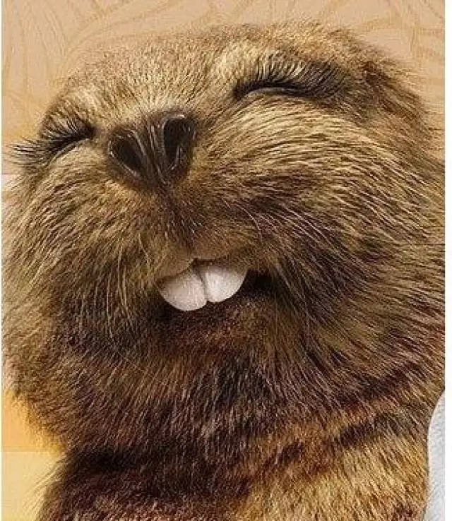 

Шарикоподшипники для Wltoys A949-35 A959A979-B 124008 124010 144001, запчасти для модернизации радиоуправляемых машин