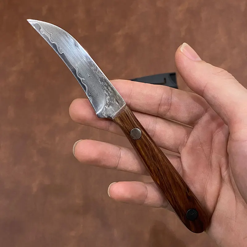 3 Inch Paring Knife 67-Layers Damascus Steel Blade Wood Handle Sharp Chef Cleaver Peeling Fruit BBQ Kitchen Knives Cooking Tools
