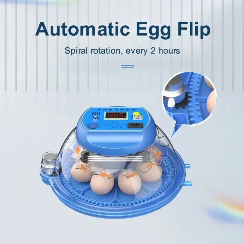 8 Egg Automatic Incubator for Eggs Brooder Chicken Duck Quail Birds Electric Incubation 12V 110V 220 V Incubators