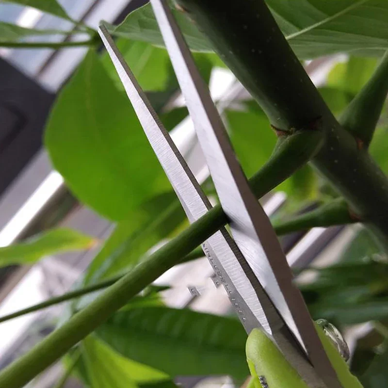 

Gardening Pruning Shears Gardening Tools Scissors Bonsai Gardening Scissors Pruning Tools Fruit Picking Weeds Potted Pruning