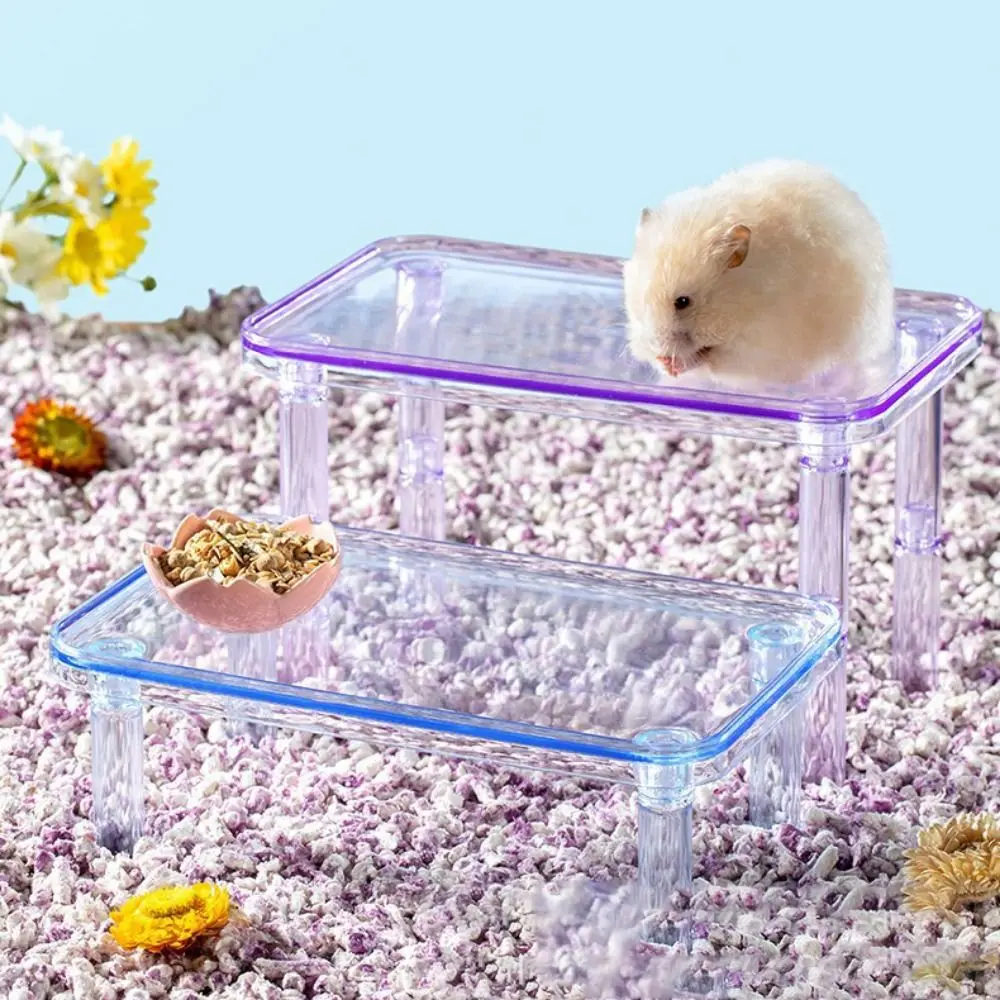 Hamster Platform Transparent Detachable Reptile Animal Landscaping Platform Entertaining Sturdy Pets Climbing Toy Pet Supplies