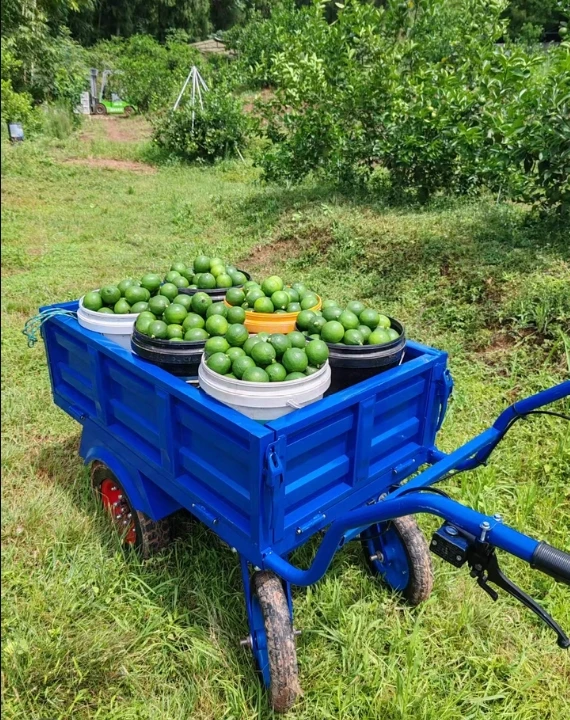 

All-electric Four-wheeled Handcart, High-power Cargo Transportation Platform Vehicle, A Miracle of Handling