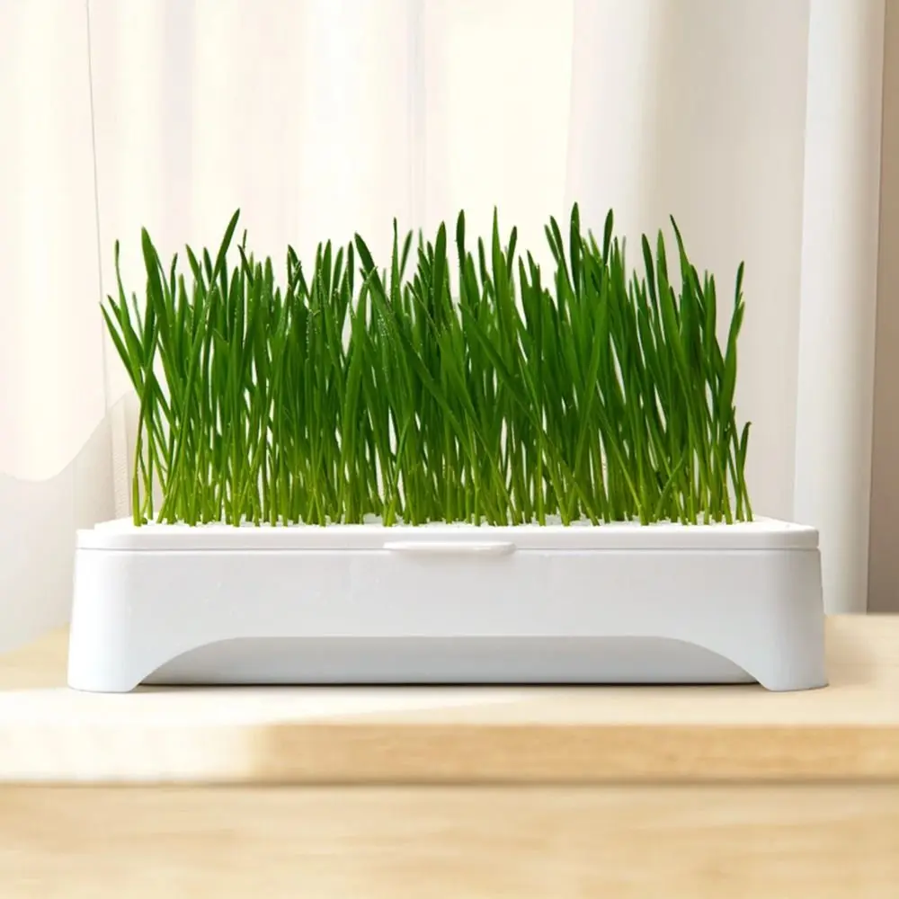 Plastic Hydroponic Seeding Tray Self-planted Multi-functional Cat Grass Nursery Pot Reusable Growth Planter Garden Supplies