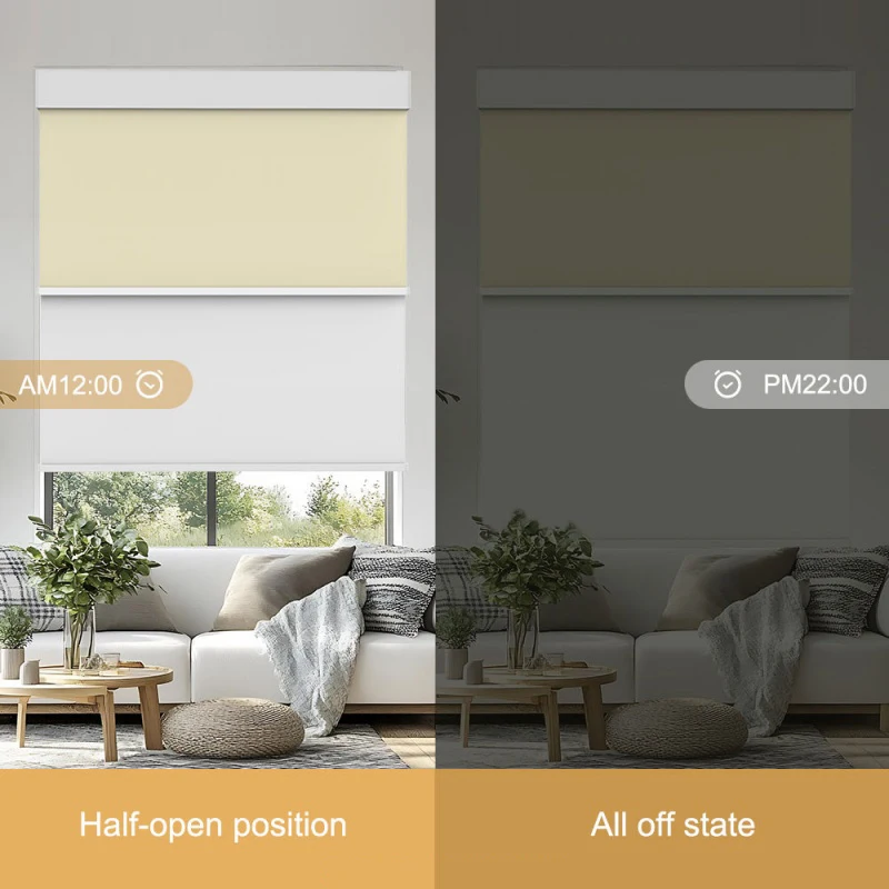 Factory Customized Shades High-end Fabric Smart App Wifi Voice Long-Range Control Motorized Dual Layer Roller Blinds For Windows view 3