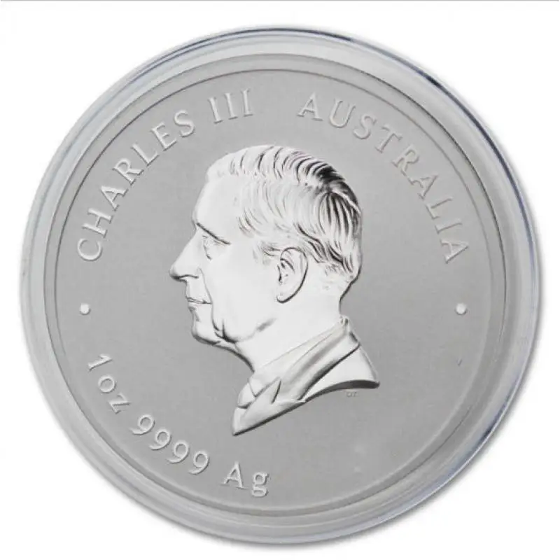 2025 Australische Slang Maanmunt - 40,9 mm x 3,5 mm Zilveren serie Chinees Nieuwjaarscadeau