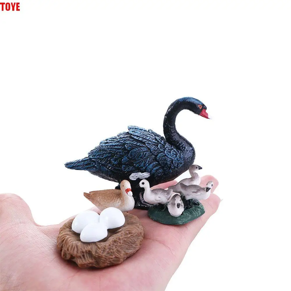 

Gifts Kids Poultry Growth Cycle Cock Swan Model Hen Cycle Duck Figurine Growth Cycle Simulation White Goose Life Cycle Figures