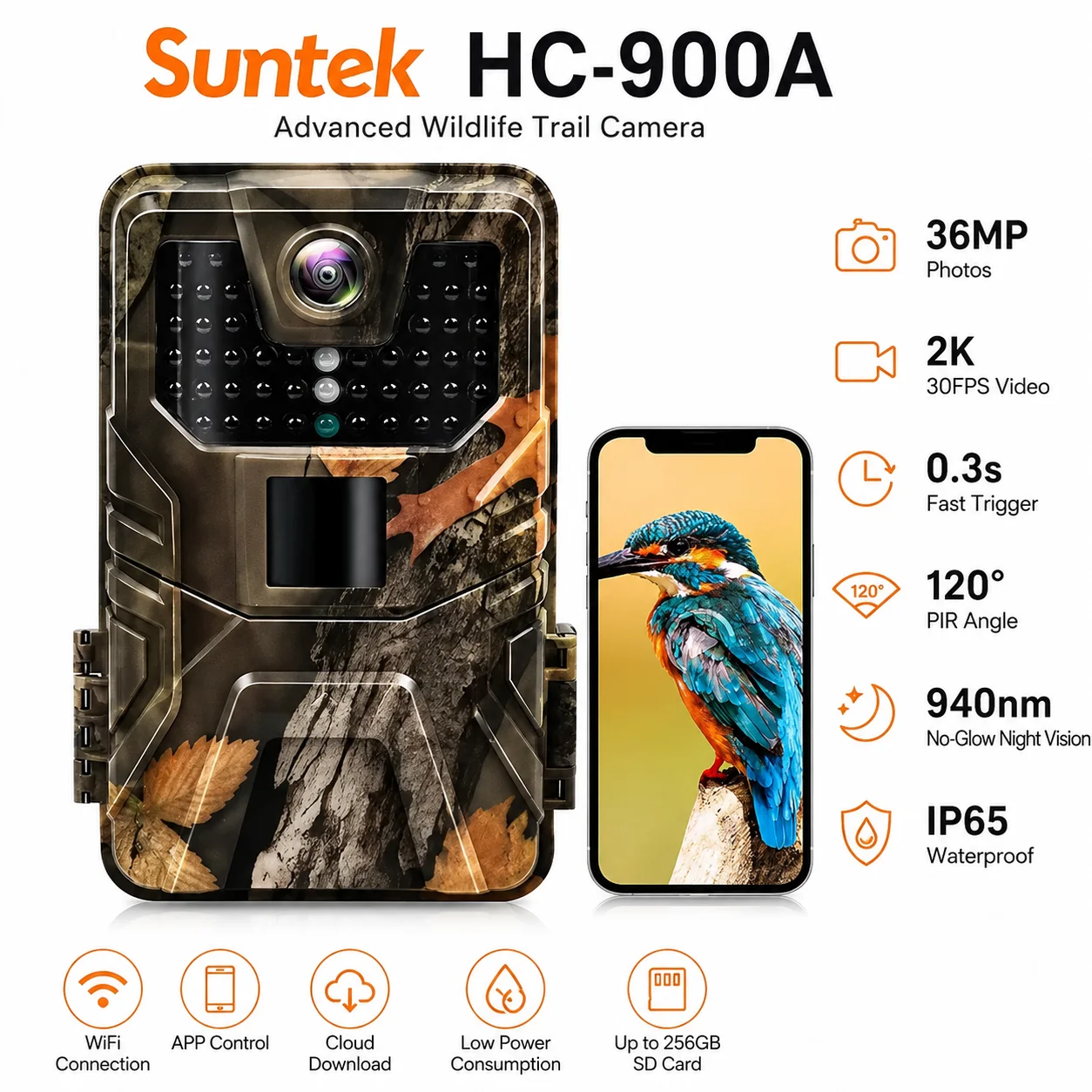 #33 Compare Trail Cameras Before You Buy