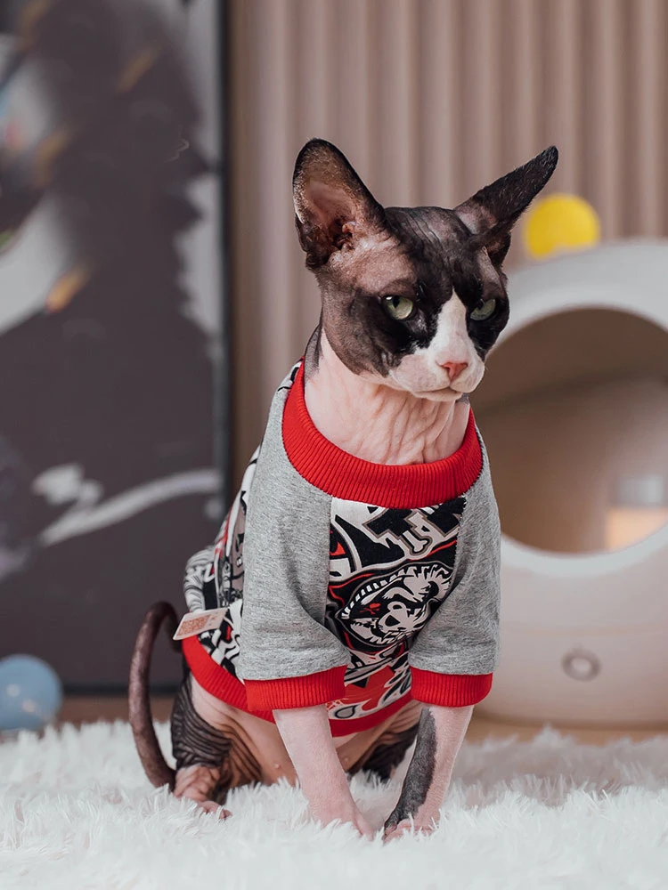 Fashion Cotton Coat for Sphynx Cat Spring Long Sleeves Soft Cartoon T-shirt for Kittens in Autumn Cartoon Pajamas for Devon Rex