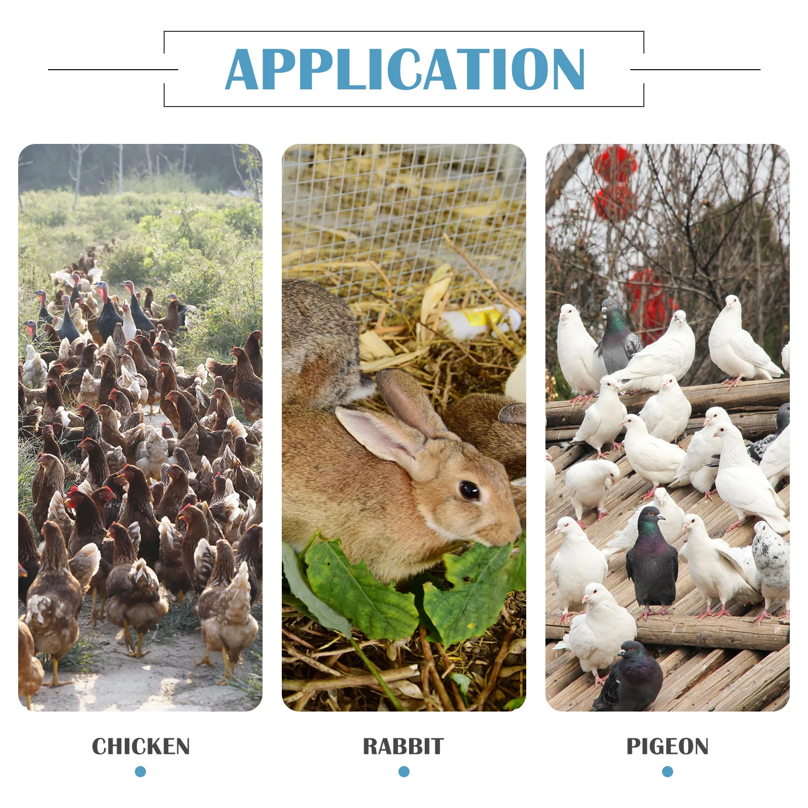 

Animal Drinking Water Filter Poultry Dispenser Filtrating Tool Hen Fountain Replacement Filters Blue Pet Water Cleaning Rabbit
