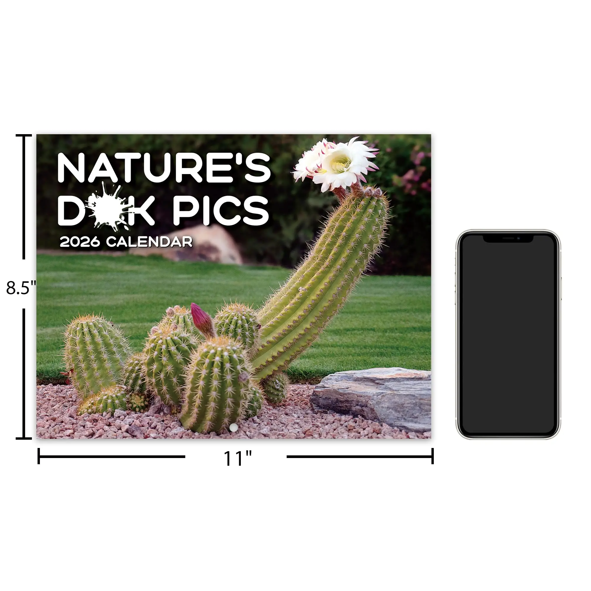 هدايا الكمامة - تقويم حائط مضحك 2026 مع ورق سميك و12 رسوم توضيحية صبار مضحكة ديكور مكتب هدية مخطط مضحك لمدة 12 شهرًا #6