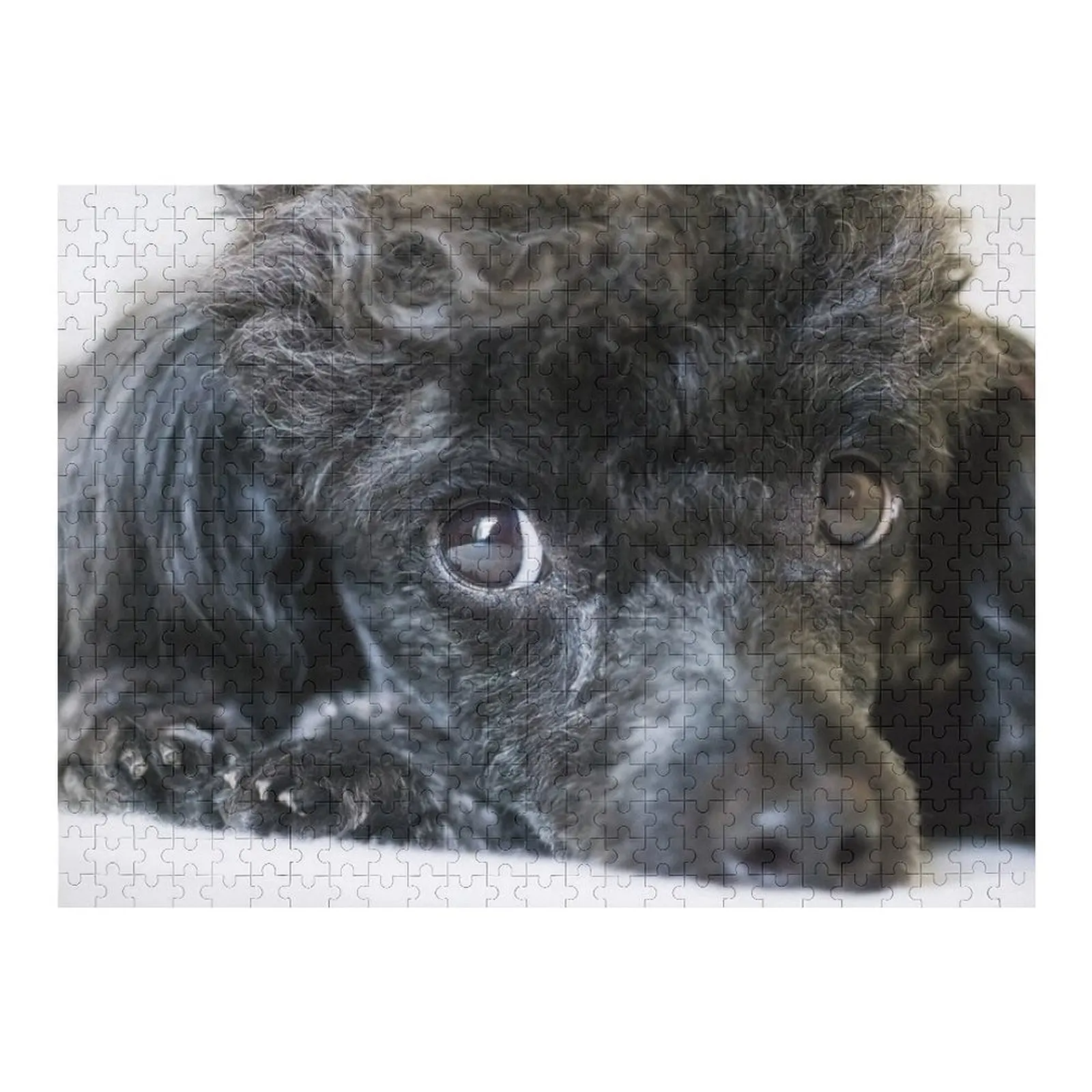 Poodle Jigsaw Puzzle Personalized Gift Jigsaw Custom Customized Kids Gift Personalized Photo Gift Puzzle
