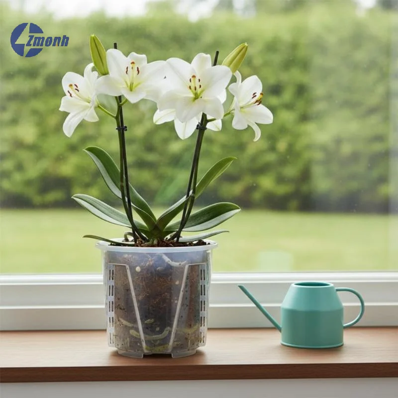 New！Plastic Root Control Transparent Flower Pot Breathable Beautiful Phalaenopsis Orchid Pots With Stomata Planting Pot