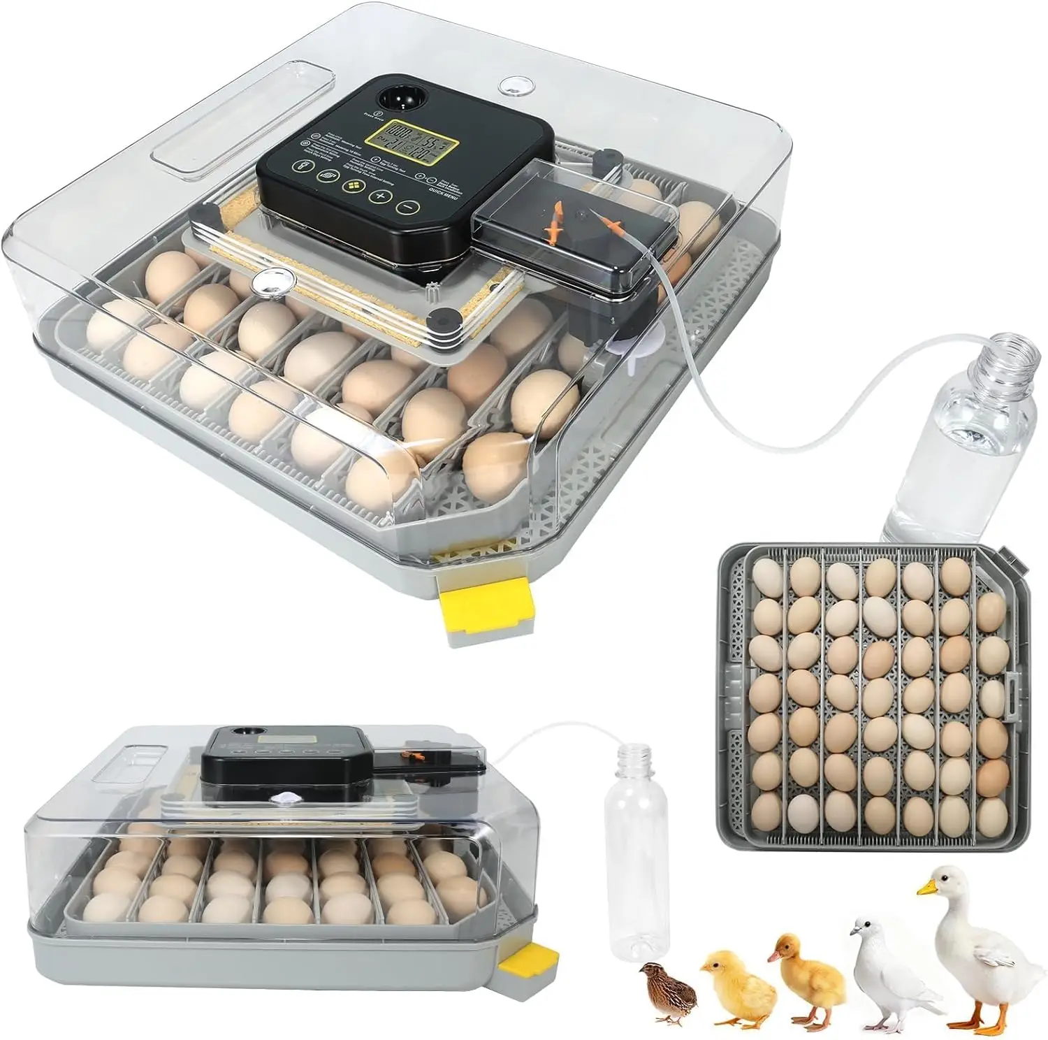 

48 Egg Incubator with Humidity & Temp Control, Auto Turning, Chick Separator for Poultry
