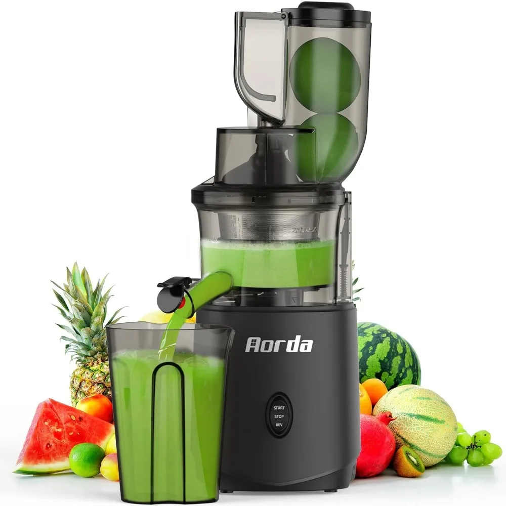 

200W Cold Press Juicer for Fruits and Vegetables, Slow Masticating with Quiet Operation in Matte Grey
