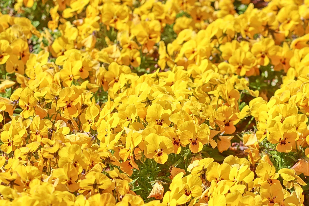 

BETAFPV 0802 Brushless Motor High Speed Power for FPV Micro Whoop Quadcopter Upgrade Accessories