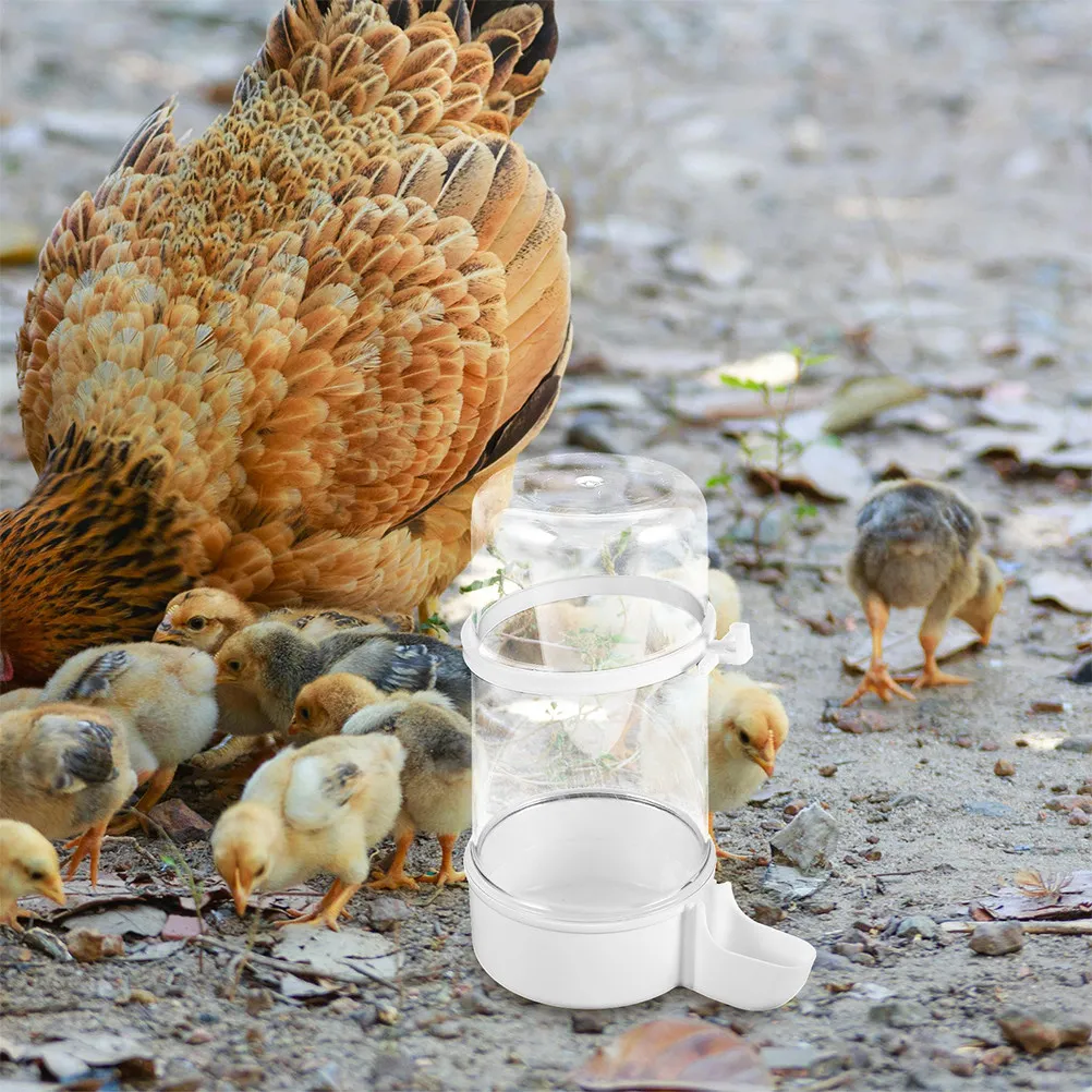 4Pcs Automatic Bird Feeder and Waterer Set for Quail Chickens Parakeets Cockatiels Easy Clean Spill Resistant Stable Base