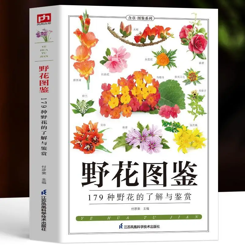 

Wildflower Identification Guide, 179 Species, Field & Garden Plants Illustrated Handbook for Plant Lovers