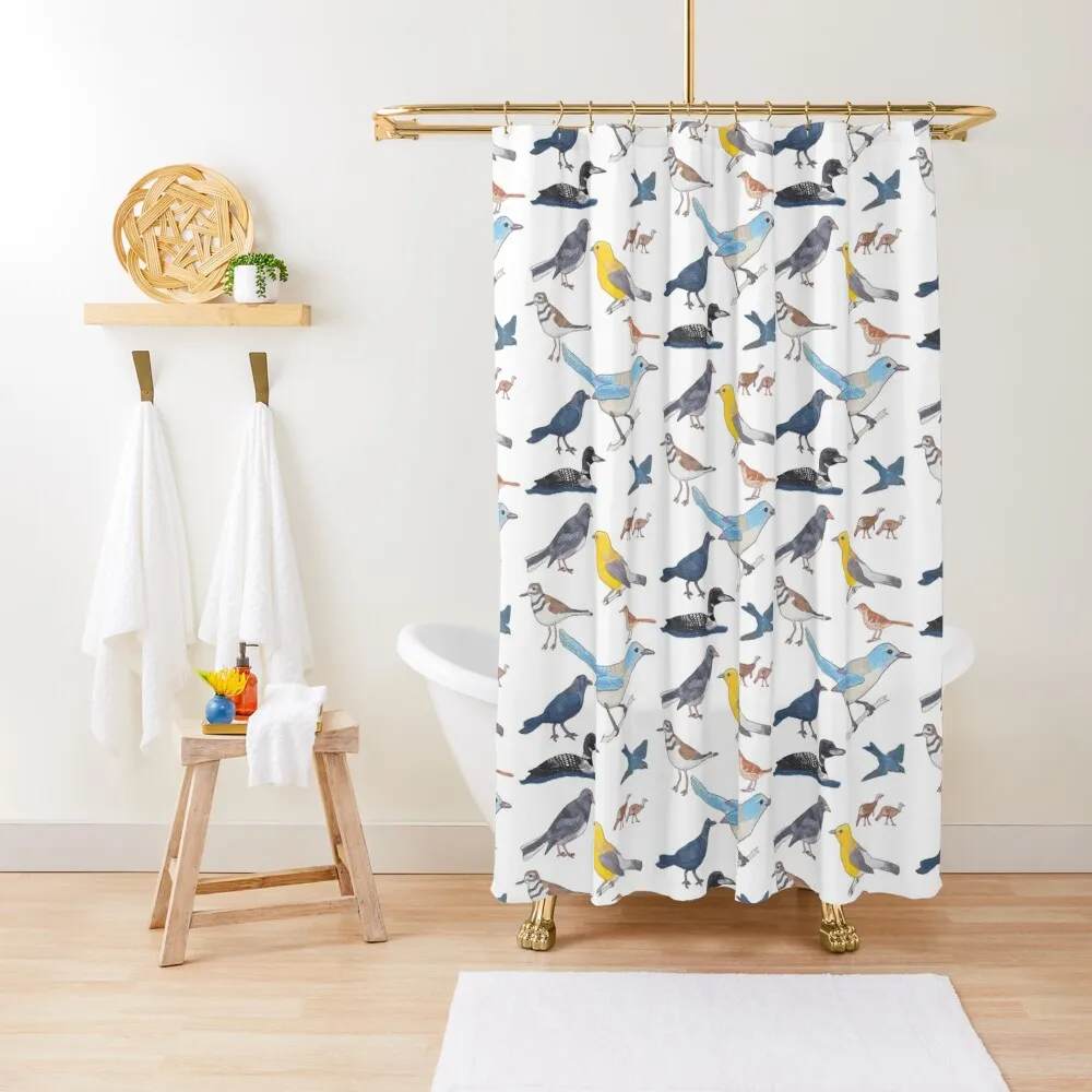 

North American birds Shower Curtain Shower For Bathrooms Modern Accessory Bathrooms Bathroom For Shower For The Bathroom Curtain