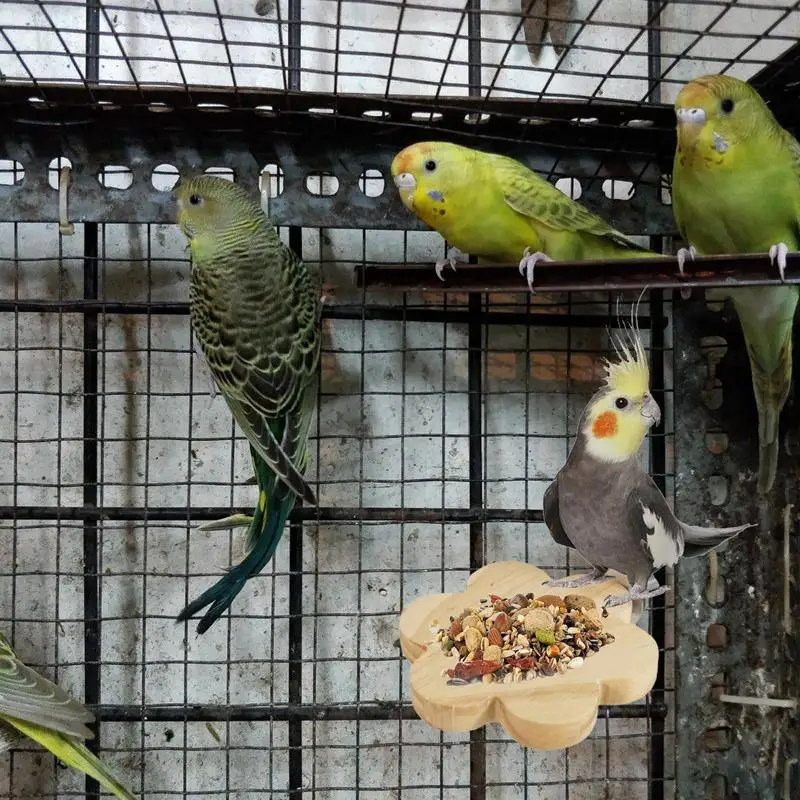 Bird Perches For Cage Budgie Perch Stand Wooden Bird Stands Cage Accessories For Parakeets Conures Cockatiels Budgies Hamster