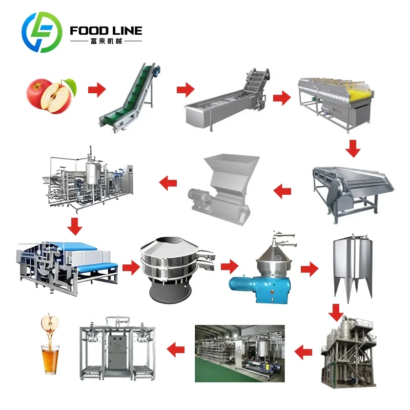 Custom Commercial Apple Juice Extractor Machine Filter Press with Sterilizer for Professional Fruit Juice Processing Equipment