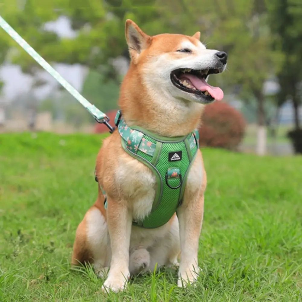 

Durable Reflective Dogs Harness Leash Set Breathable Adjustable Cat Harnesses Floral Design Anti Escape Pet Vest Summer