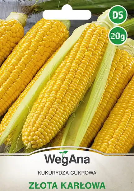 Graines de maïs sucré Dwarp Golden 20g VegAna, variété douce à maturité précoce pour le jardin et la préparation culinaire