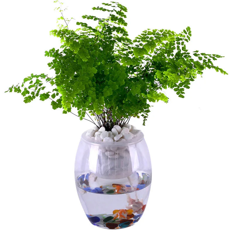 10M Potted Self-Watering Wick Cord Holiday Automatic Watering Device System Potted Auto Drip Waterer Cotton Rope Planter