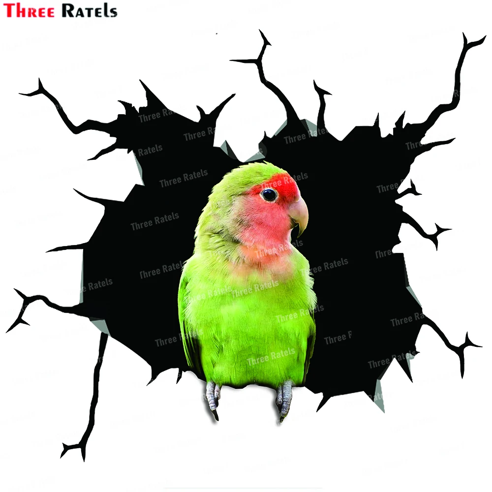 Three Ratels BV  Parrot Stickers And Decals for Passat B6 Car Decals Auto Accessories Vinyl Waterproof Material